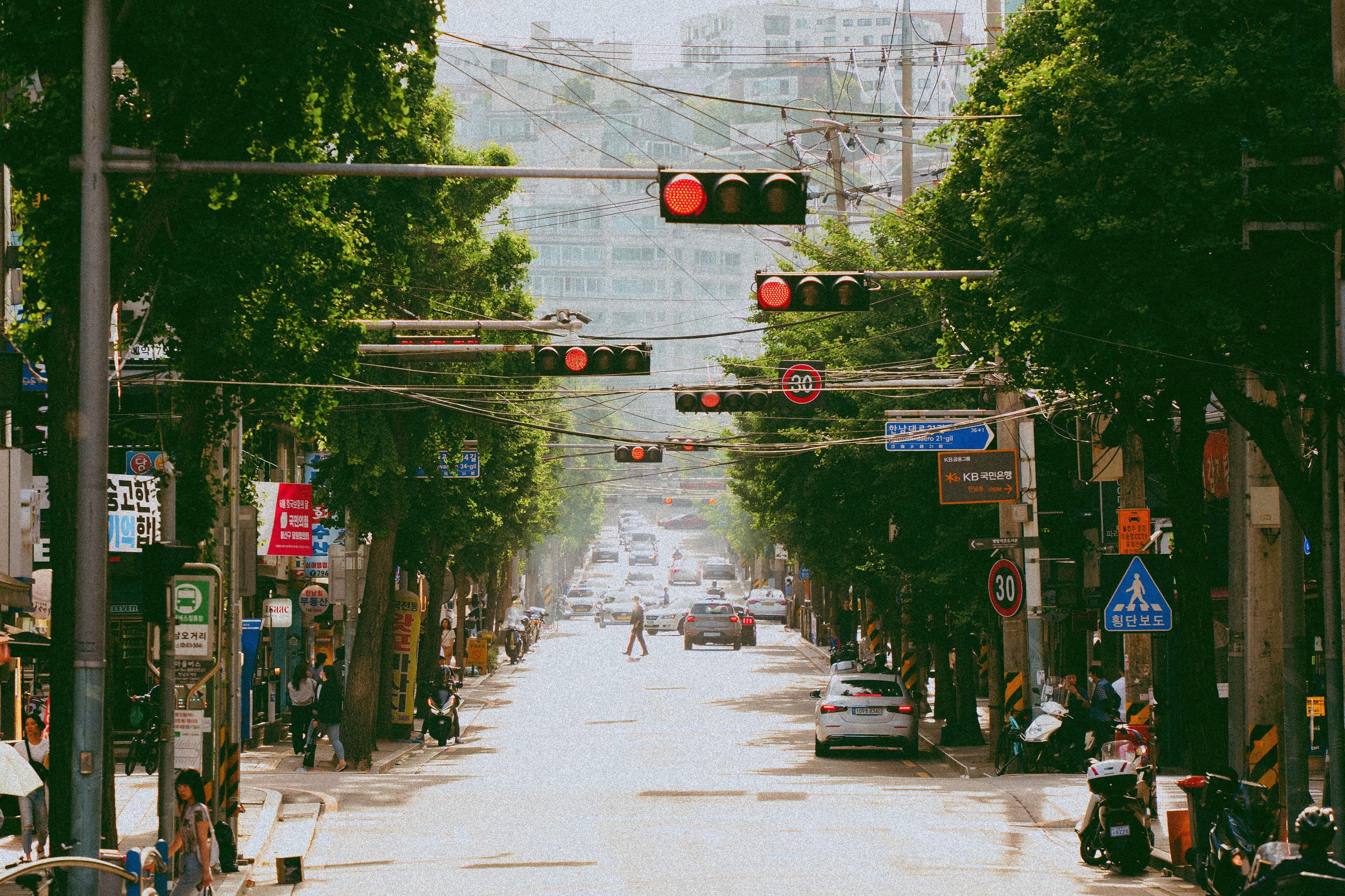 Hazy summer heat shimmering over a tree-lined city street in Korea